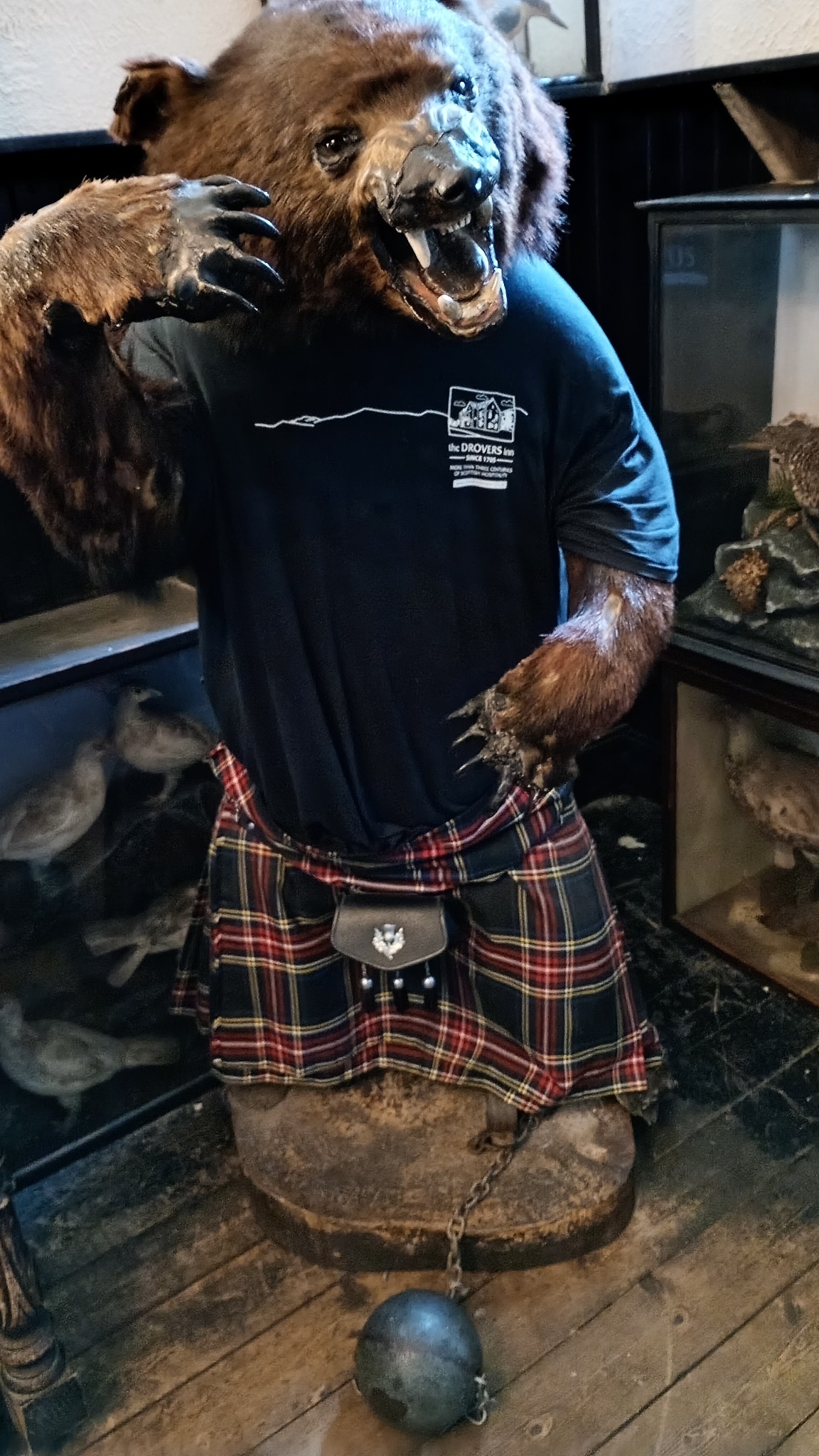 A taxidermy bear dressed in a kilt at the Drovers Inn