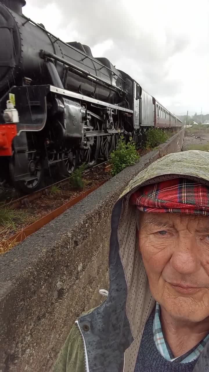 The Jacobite steam train